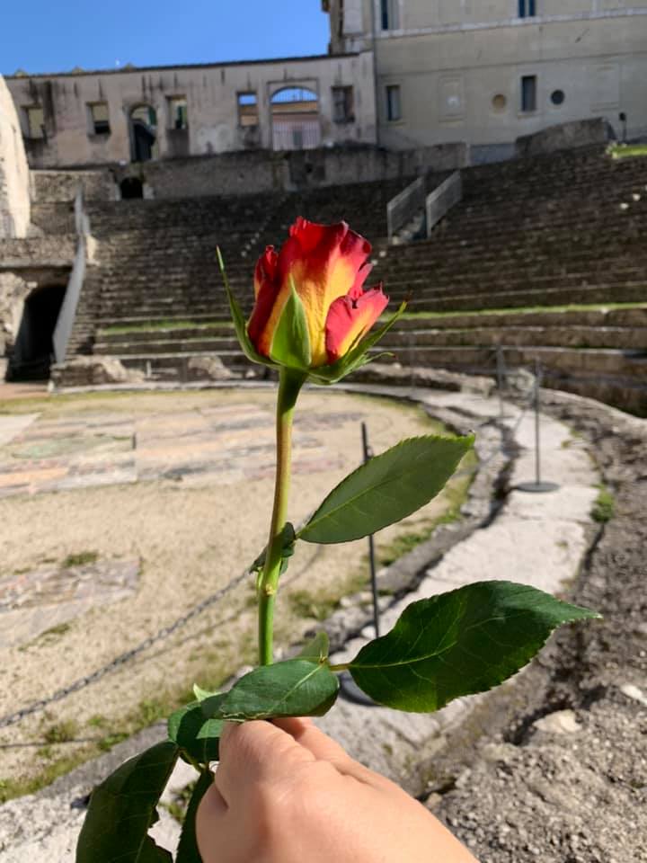 Una rosa e un racconto