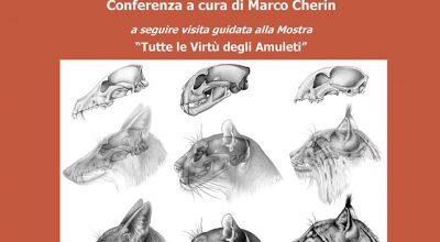 Mammiferi fossili dell’Umbria. Da Cuvier a Bellucci agli studi moderni.