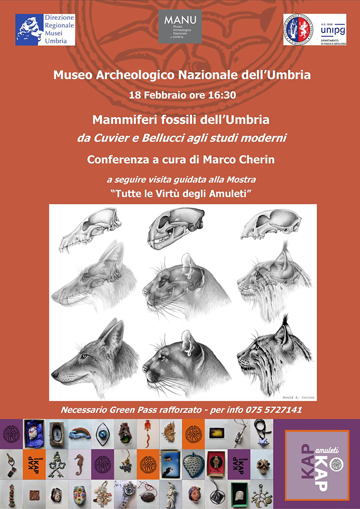 Mammiferi fossili dell’Umbria. Da Cuvier a Bellucci agli studi moderni.