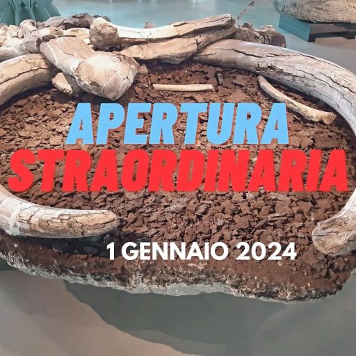 Museo Paleontologico Pietrafitta. Apertura 1 gennaio