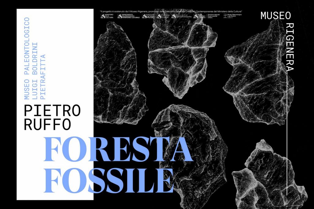PIETRO RUFFO – FORESTA FOSSILE