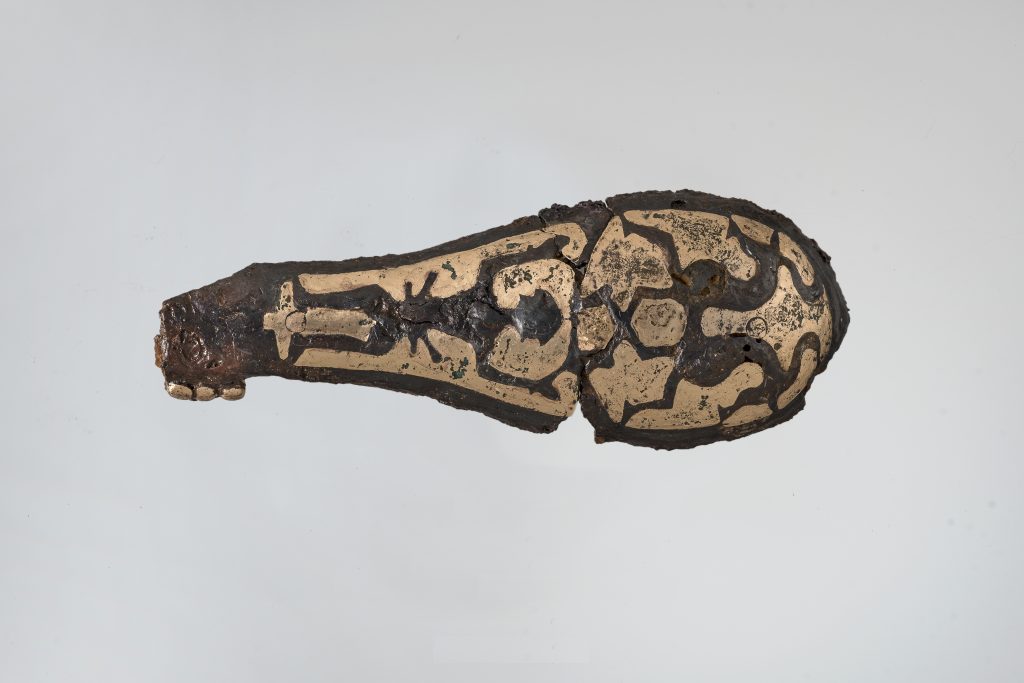 Spoleto preromana: le scoperte della bio-archeologia sulla popolazione arcaica di Piazza D’Armi